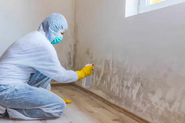 Bathroom Mold Removal assessment in Sandy Spring bathroom