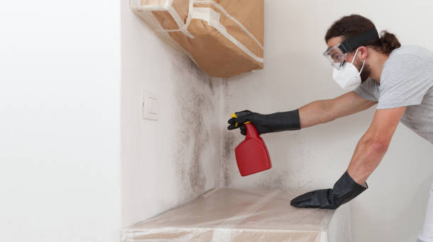 Attic Mold Remediation treatment on roof deck in Sandy Spring