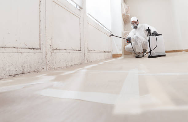 Black mold remediation team in Sandy Spring